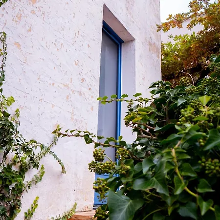 Maison Bleu Avril - Gard *